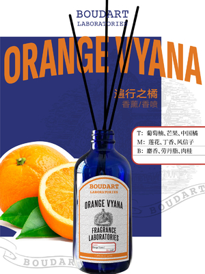 OEM Reed Diffuser Aroma Oranye Dan Kayu manis Dasar Botol Kaca Alami Aroma Parfum