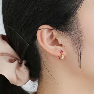 Anting Perhiasan Perak Rainbow Sterling